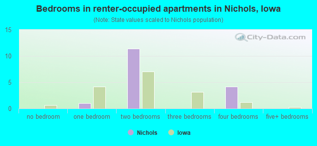Bedrooms in renter-occupied apartments in Nichols, Iowa