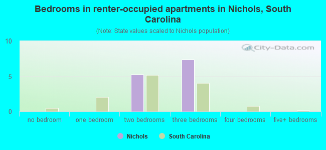 Bedrooms in renter-occupied apartments in Nichols, South Carolina