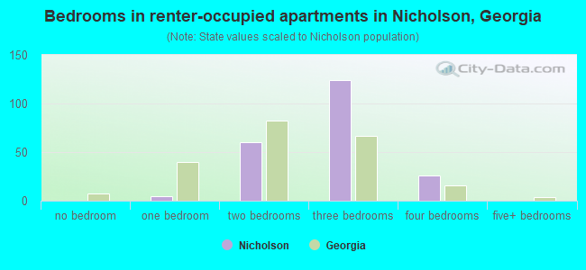 Bedrooms in renter-occupied apartments in Nicholson, Georgia