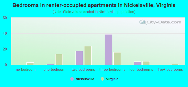 Bedrooms in renter-occupied apartments in Nickelsville, Virginia