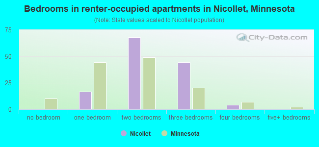 Bedrooms in renter-occupied apartments in Nicollet, Minnesota
