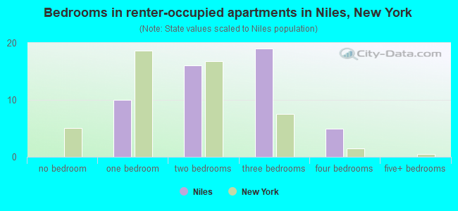 Bedrooms in renter-occupied apartments in Niles, New York
