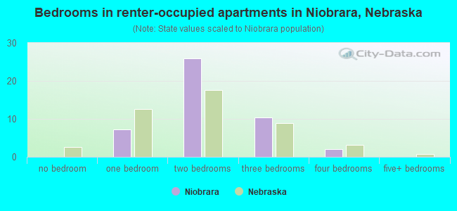 Bedrooms in renter-occupied apartments in Niobrara, Nebraska