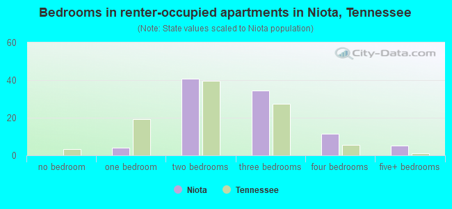 Bedrooms in renter-occupied apartments in Niota, Tennessee