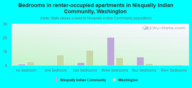 Bedrooms in renter-occupied apartments in Nisqually Indian Community, Washington