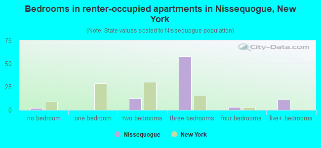 Bedrooms in renter-occupied apartments in Nissequogue, New York
