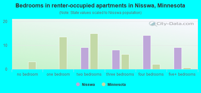 Bedrooms in renter-occupied apartments in Nisswa, Minnesota