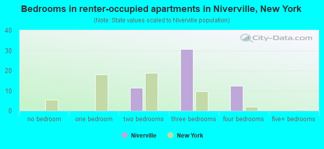 Bedrooms in renter-occupied apartments in Niverville, New York