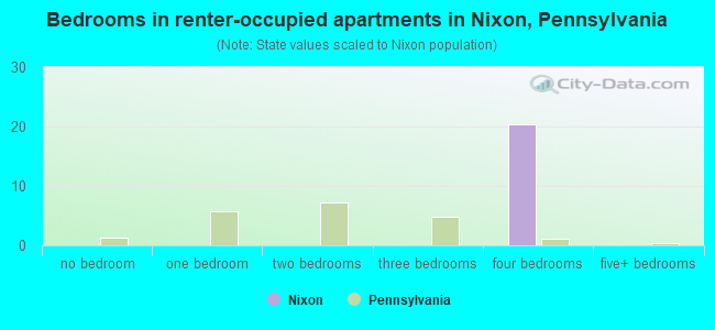Bedrooms in renter-occupied apartments in Nixon, Pennsylvania