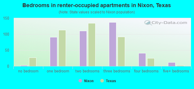 Bedrooms in renter-occupied apartments in Nixon, Texas