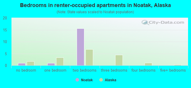 Bedrooms in renter-occupied apartments in Noatak, Alaska