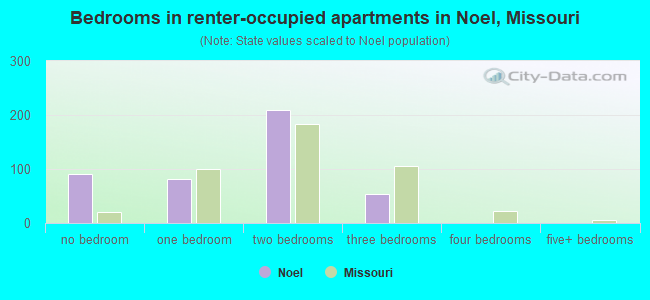 Bedrooms in renter-occupied apartments in Noel, Missouri