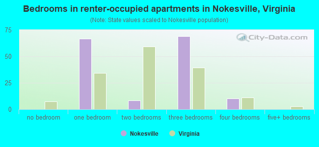 Bedrooms in renter-occupied apartments in Nokesville, Virginia