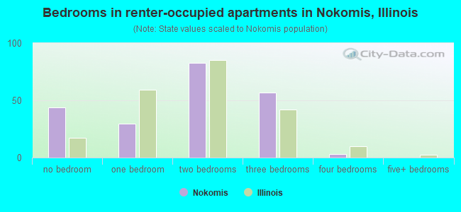Bedrooms in renter-occupied apartments in Nokomis, Illinois