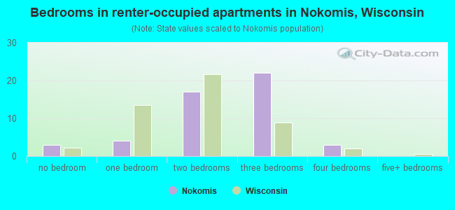 Bedrooms in renter-occupied apartments in Nokomis, Wisconsin