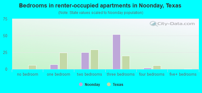Bedrooms in renter-occupied apartments in Noonday, Texas