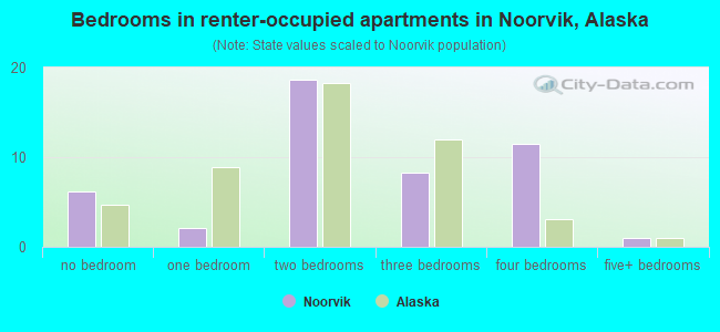 Bedrooms in renter-occupied apartments in Noorvik, Alaska