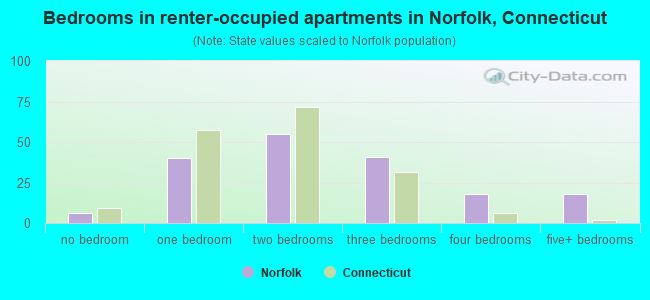 Bedrooms in renter-occupied apartments in Norfolk, Connecticut