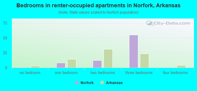 Bedrooms in renter-occupied apartments in Norfork, Arkansas