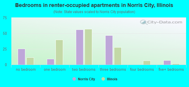 Bedrooms in renter-occupied apartments in Norris City, Illinois