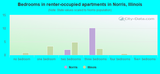 Bedrooms in renter-occupied apartments in Norris, Illinois