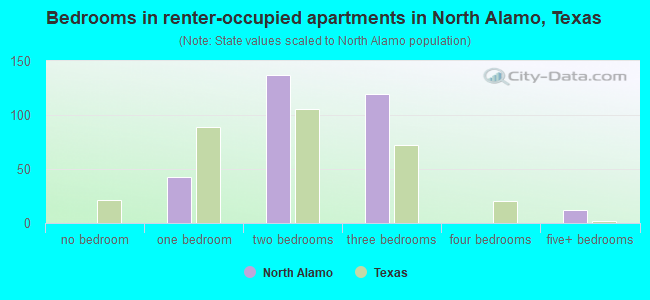Bedrooms in renter-occupied apartments in North Alamo, Texas