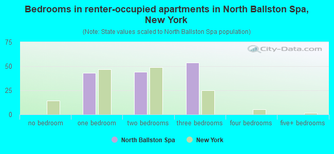 Bedrooms in renter-occupied apartments in North Ballston Spa, New York