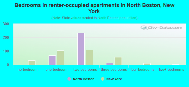 Bedrooms in renter-occupied apartments in North Boston, New York