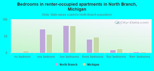 Bedrooms in renter-occupied apartments in North Branch, Michigan