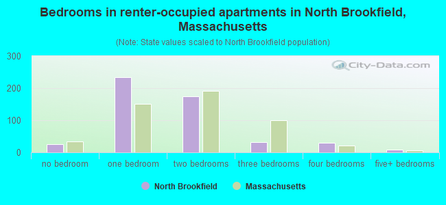 Bedrooms in renter-occupied apartments in North Brookfield, Massachusetts