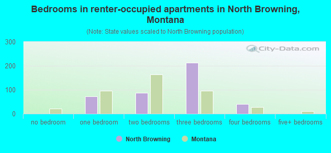 Bedrooms in renter-occupied apartments in North Browning, Montana