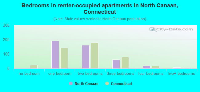 Bedrooms in renter-occupied apartments in North Canaan, Connecticut