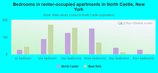 Bedrooms in renter-occupied apartments in North Castle, New York