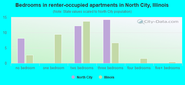 Bedrooms in renter-occupied apartments in North City, Illinois