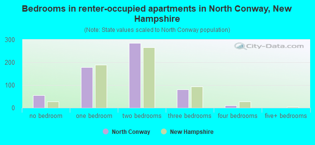 Bedrooms in renter-occupied apartments in North Conway, New Hampshire