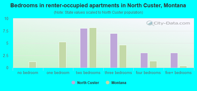 Bedrooms in renter-occupied apartments in North Custer, Montana