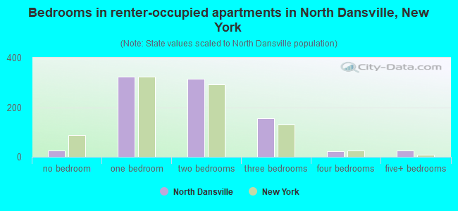 Bedrooms in renter-occupied apartments in North Dansville, New York