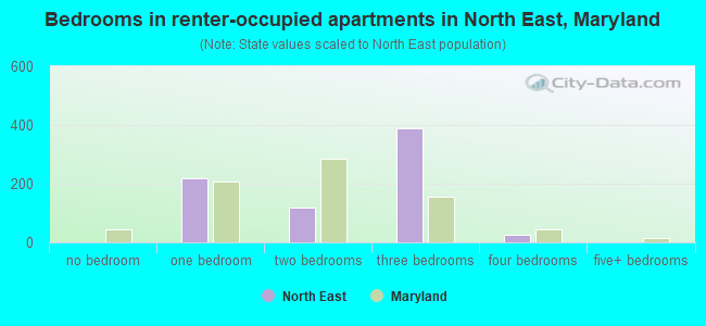 Bedrooms in renter-occupied apartments in North East, Maryland