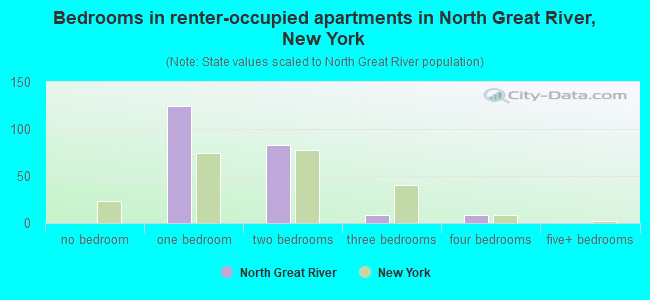 Bedrooms in renter-occupied apartments in North Great River, New York