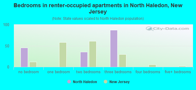 Bedrooms in renter-occupied apartments in North Haledon, New Jersey