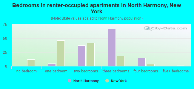 Bedrooms in renter-occupied apartments in North Harmony, New York
