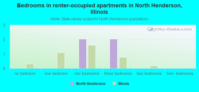 Bedrooms in renter-occupied apartments in North Henderson, Illinois