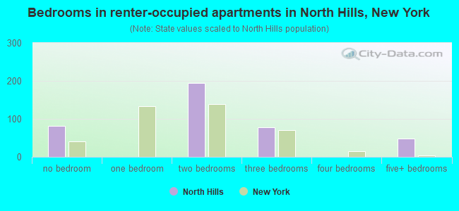 Bedrooms in renter-occupied apartments in North Hills, New York
