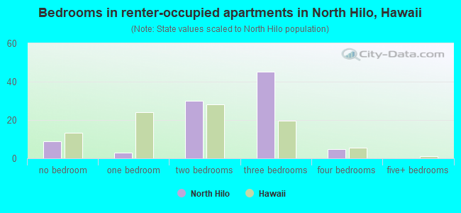 Bedrooms in renter-occupied apartments in North Hilo, Hawaii