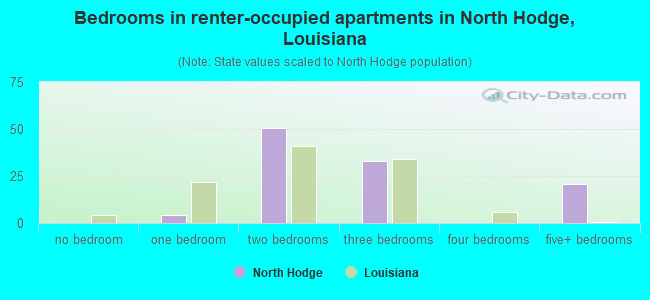Bedrooms in renter-occupied apartments in North Hodge, Louisiana