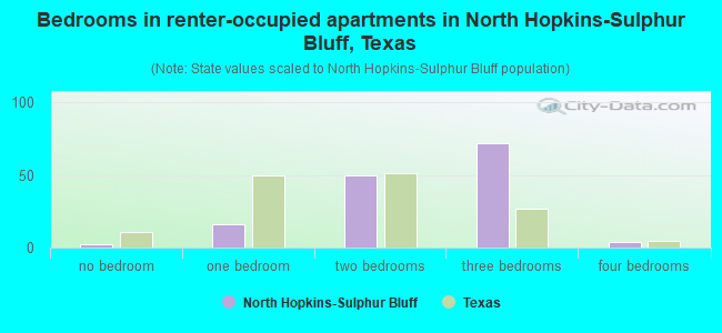 Bedrooms in renter-occupied apartments in North Hopkins-Sulphur Bluff, Texas