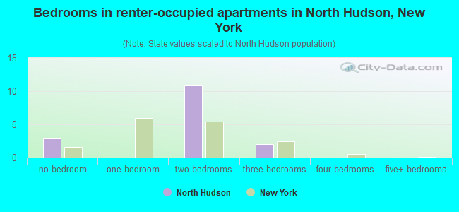 Bedrooms in renter-occupied apartments in North Hudson, New York