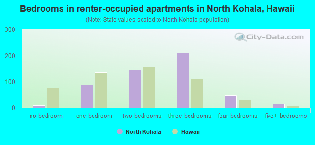 Bedrooms in renter-occupied apartments in North Kohala, Hawaii