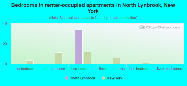 Bedrooms in renter-occupied apartments in North Lynbrook, New York
