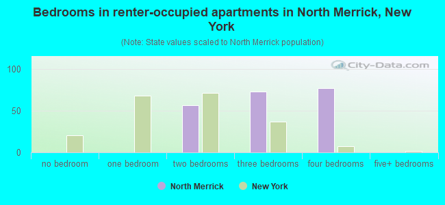 Bedrooms in renter-occupied apartments in North Merrick, New York